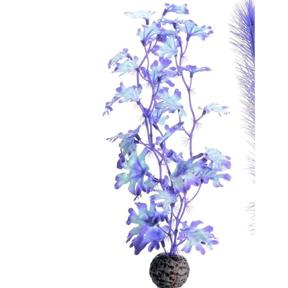 🌸HP🌸BiOrb Kelp in Purple!